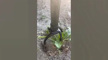 Сорняку скажем нет  👩‍🌾🚜#садоводство #продвинутыйсадовод